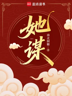 《她谋》小说封面