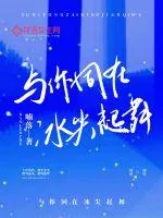 《与你同在冰尖起舞》小说封面