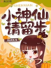 《小神仙，请留步》小说封面
