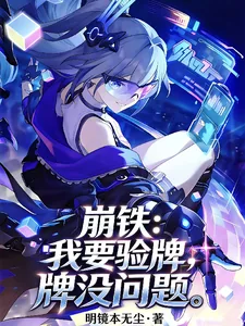 《崩铁:我要验牌,牌没问题》小说封面