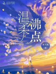 《温柔沸点》小说封面
