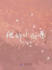 《他的小白菜》小说封面