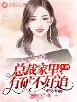 《小姐，总裁家里有矿不好追》小说封面